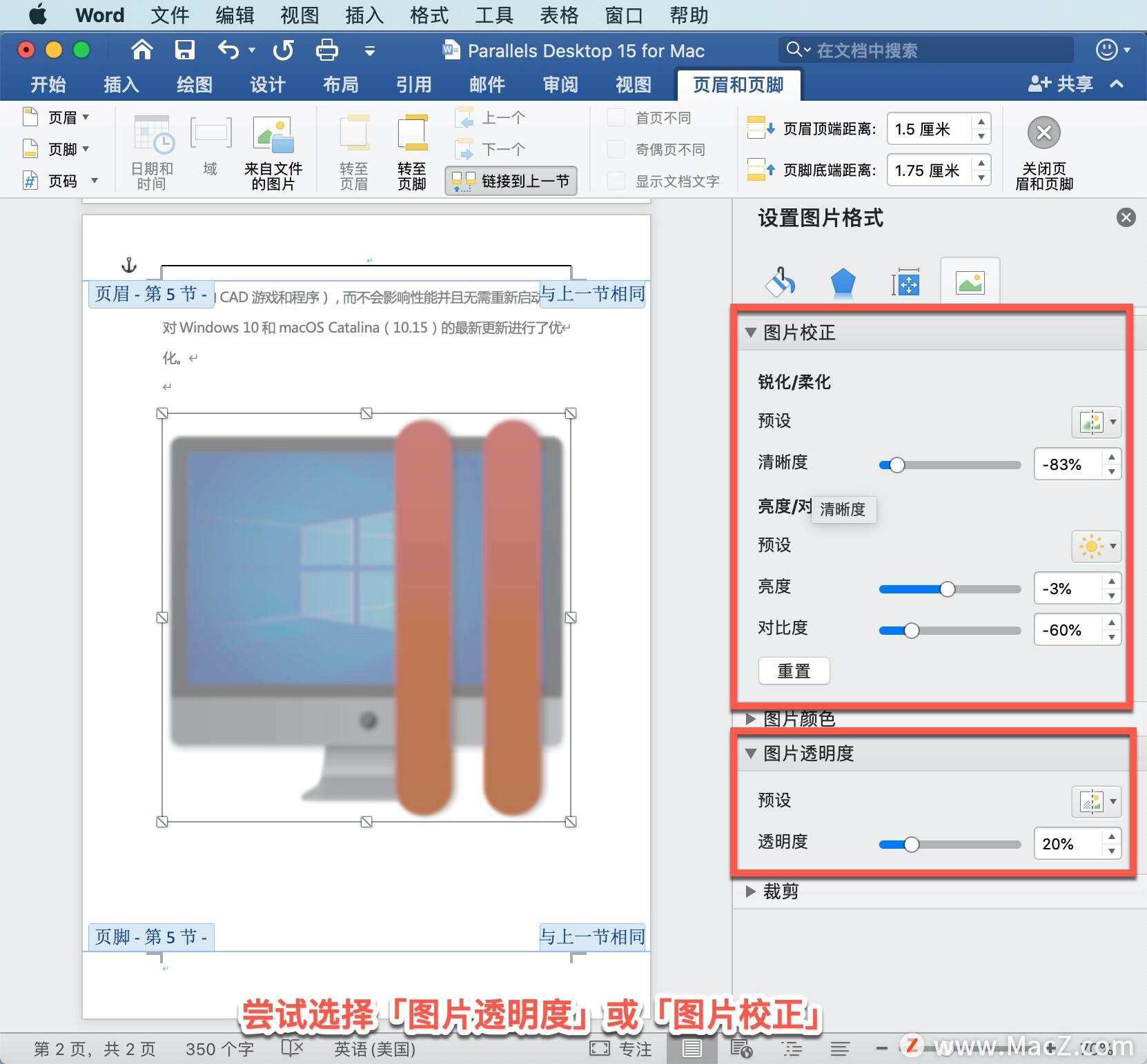 Word 如何在 中插入水印 Word 教程 Microsoft (word如何生成目录)